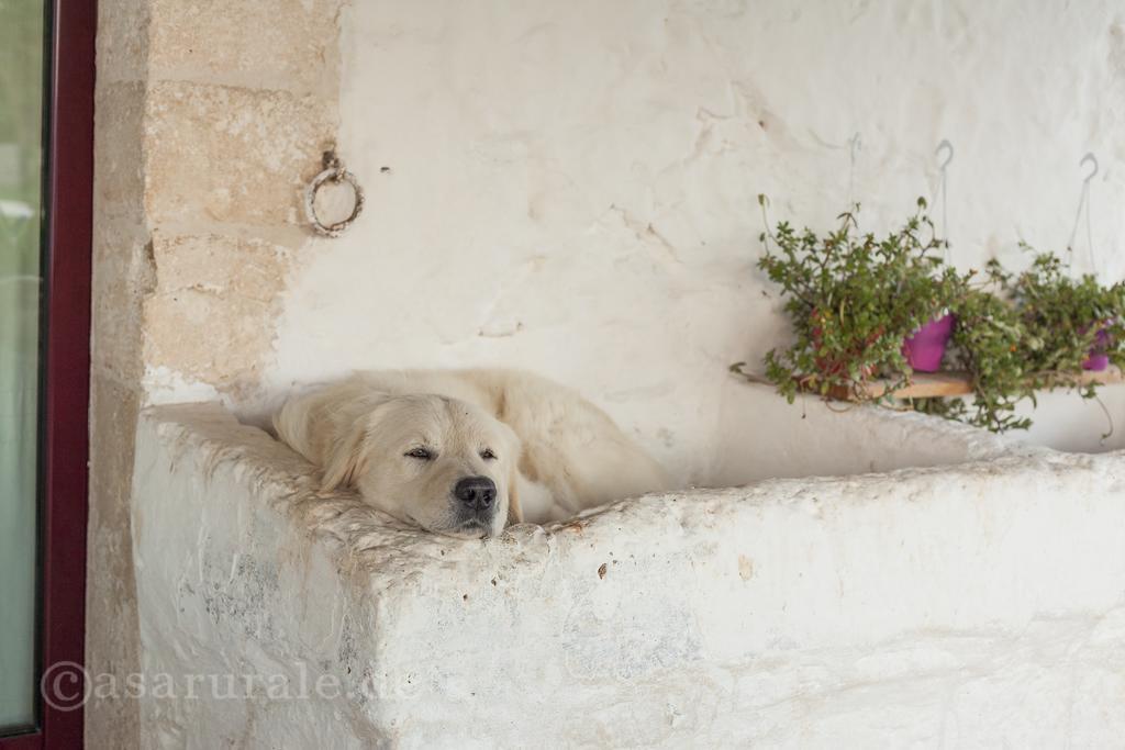 Masseria Ferri Ostuni Exterior photo